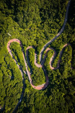 Fuji-Hakone Izu Ulusal Parkı, Japonya, Asya 'daki dolambaçlı bir dağ yolunun hava manzarası