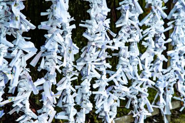 Kuzuryu Tapınağı Shingu, Hakone, Ashigarashimo, Kanagawa, Japonya. Yüksek kalite fotoğraf