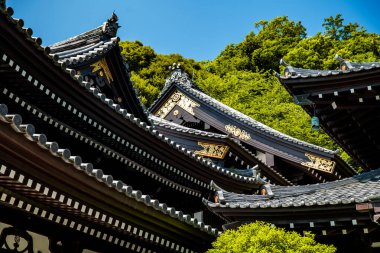 Japonya, Kamakura 'daki Hasedera tapınağı. Yüksek kalite fotoğraf