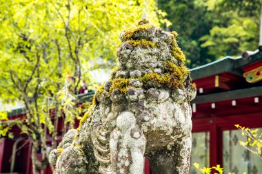 Kuzuryu Tapınağı Shingu, Hakone, Ashigarashimo, Kanagawa, Japonya. Yüksek kalite fotoğraf