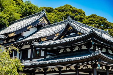 Hasedera temple in Kamakura, Japan. High quality photo clipart