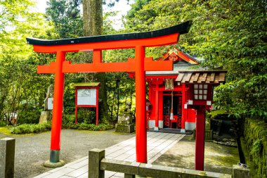 Kuzuryu Tapınağı Shingu, Hakone, Ashigarashimo, Kanagawa, Japonya. Yüksek kalite fotoğraf