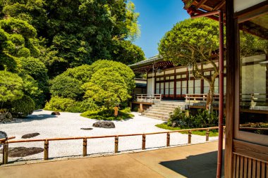 Kamakura, Kanagawa, Japonya 'daki Hokoku ji Tapınağı bambu ormanı. Yüksek kalite fotoğraf