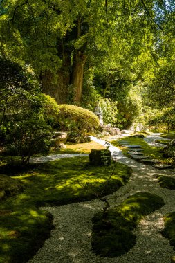 Kamakura, Kanagawa, Japonya 'daki Hokoku ji Tapınağı bambu ormanı. Yüksek kalite fotoğraf