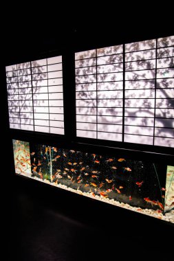 Ginza 'daki sanat akvaryumu müzesi, Chuo City, Tokyo, Japonya. Yüksek kalite fotoğraf