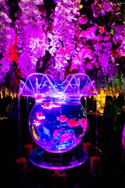 Ginza 'daki sanat akvaryumu müzesi, Chuo City, Tokyo, Japonya. Yüksek kalite fotoğraf