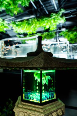Ginza 'daki sanat akvaryumu müzesi, Chuo City, Tokyo, Japonya. Yüksek kalite fotoğraf