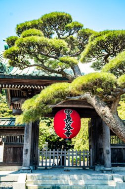 Japonya, Kamakura 'daki Hasedera tapınağı. Yüksek kalite fotoğraf