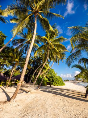 Asya, Maldivler 'deki sahil beldesi. Yüksek kalite fotoğraf