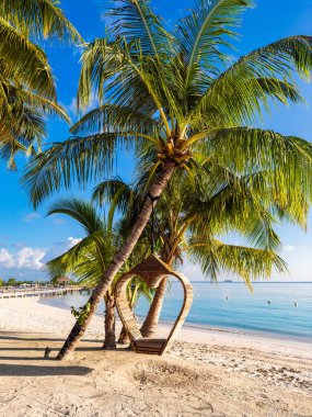 Asya, Maldivler 'deki sahil beldesi. Yüksek kalite fotoğraf