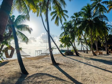 Asya, Maldivler 'deki sahil beldesi. Yüksek kalite fotoğraf