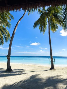 Asya, Maldivler 'deki sahil beldesi. Yüksek kalite fotoğraf