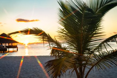 Asya, Maldivler 'deki sahil beldesinde gün batımı. Yüksek kalite fotoğraf