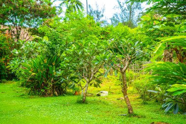 Güney Samui, Koh Samui, Tayland, Güney Doğu Asya 'daki yazlık villaları görüyor.