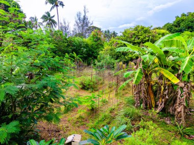 South Samui views with beach villas, in koh Samui, Thailand, south east asia