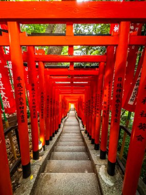 Nagatacho, Chiyoda, Tokyo, Japonya 'daki Hie Shinto türbesi. Yüksek kalite fotoğraf