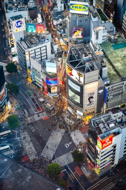 Gün batımında Shibuya Sky 'ın çatısından Tokyo manzarası, Shibuya, Tokyo, Japonya. Yüksek kalite fotoğraf