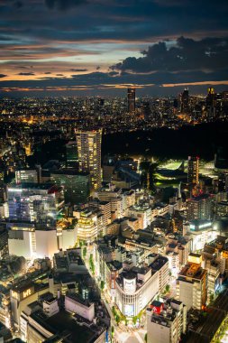 Gün batımında Shibuya Sky 'ın çatısından Tokyo manzarası, Shibuya, Tokyo, Japonya. Yüksek kalite fotoğraf