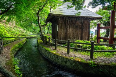 Sazae Tapınağı. 1796 'dan kalma ahşap bir tapınak. Eşsiz bir çift sarmal yapısı ve spiral merdiveni var..
