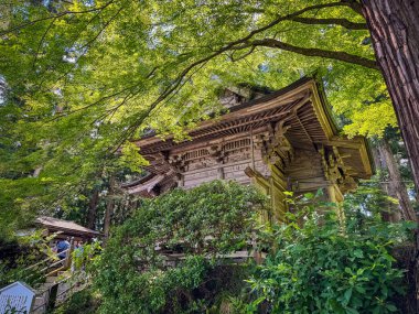 Hiraizumi 'deki Chuson-ji tapınağı, Nishiiwai Bölgesi, Iwate, Japonya. Yüksek kalite fotoğraf