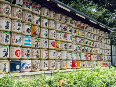 Shibuya, Tokyo, Japonya 'daki Yoyogi parkındaki Meiji türbesi. Yüksek kalite fotoğraf