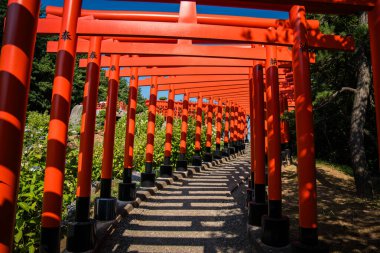 Ushigatacho, Tsugaru, Aomori, Japonya 'daki Takayama Inari Tapınağı. Yüksek kalite fotoğraf