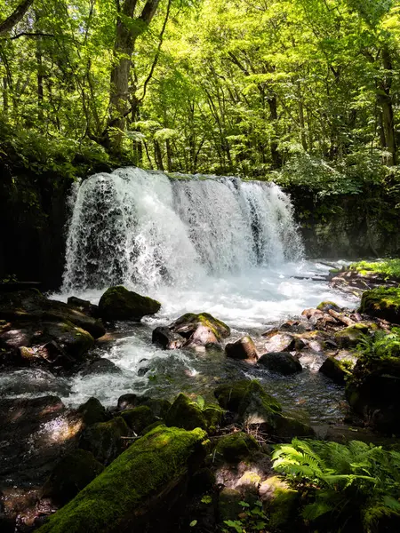 Oirase Keiryu 'daki şelale Aomori, Japonya' da. Yüksek kalite fotoğraf
