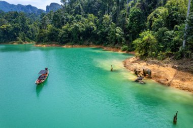 Khao Sok Ulusal Parkı 'nda, Tayland, Surat Thani' deki Çiğneme lan Gölü 'nde bir vahşi fil ailesiyle karşılaştım.