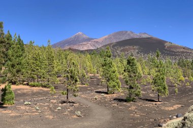 Teide volkanı, Kanarya Adaları, Tenerife manzaralı güzel panoramik manzara