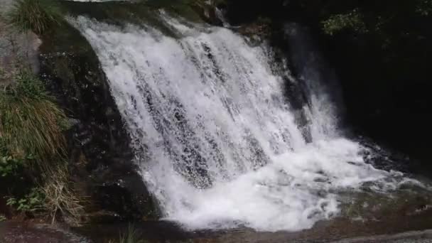 Prachtige Waterval Tussen Stenen Een Bergrivier Slow Motion — Stockvideo