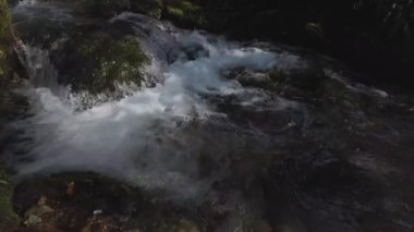 Orman deresinde berrak kristal suyu olan küçük şelale, doğa, yavaş çekim.