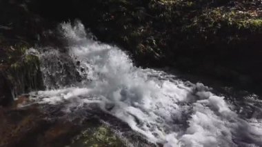 Orman deresinde berrak kristal suyu olan küçük şelale, doğa, yavaş çekim.