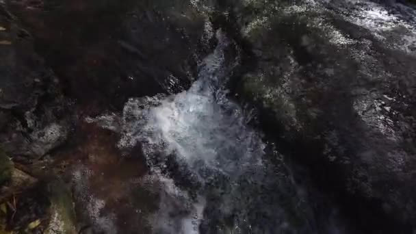 Litet Vattenfall Med Klart Kristallvatten Skogsbäck Natur Slow Motion Royaltyfri Stockvideo