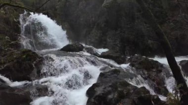Orman nehrinde güçlü bir akıntıya sahip şelale, güzel doğal manzara, yavaş çekim