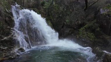 Orman nehrinde güçlü bir akıntıya sahip şelale, güzel doğal manzara, yavaş çekim