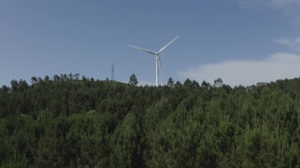 Volar Sobre Bosque Verde Por Encima Las Copas Los Árboles — Vídeo de stock