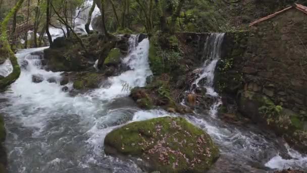 Beautiful Waterfall Ancient Stone Watermills Forest Slow Motion — Stock Video