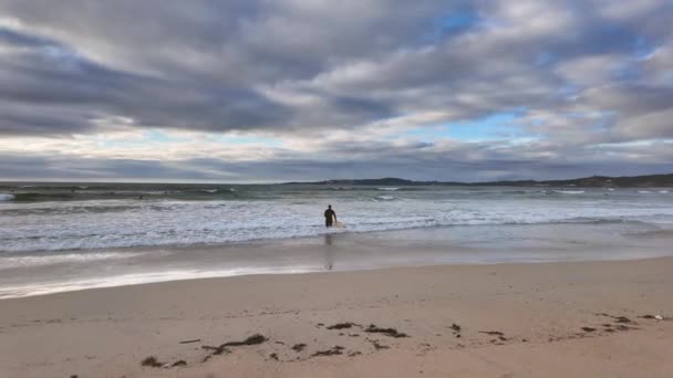 Hombre Traje Neopreno Negro Con Una Tabla Surf Entra Agua — Vídeos de Stock