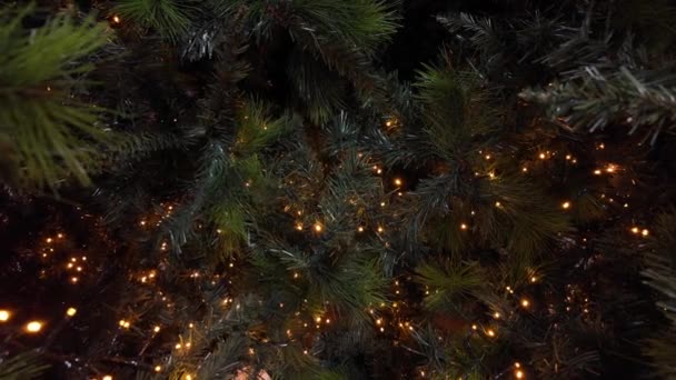 Guirnalda Con Luces Intermitentes Primer Plano Árbol Navidad Verde Estado — Vídeo de stock