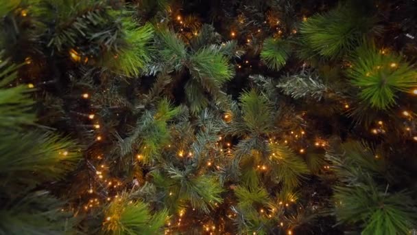Yeşil Bir Noel Ağacının Üzerinde Yanıp Sönen Işıklar Yeni Yılın — Stok video