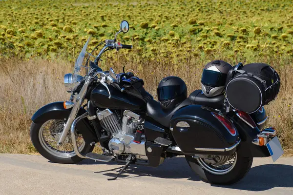black classic motorcycle cruiser on the background of a field with sunflowers, motorcycle travel concept