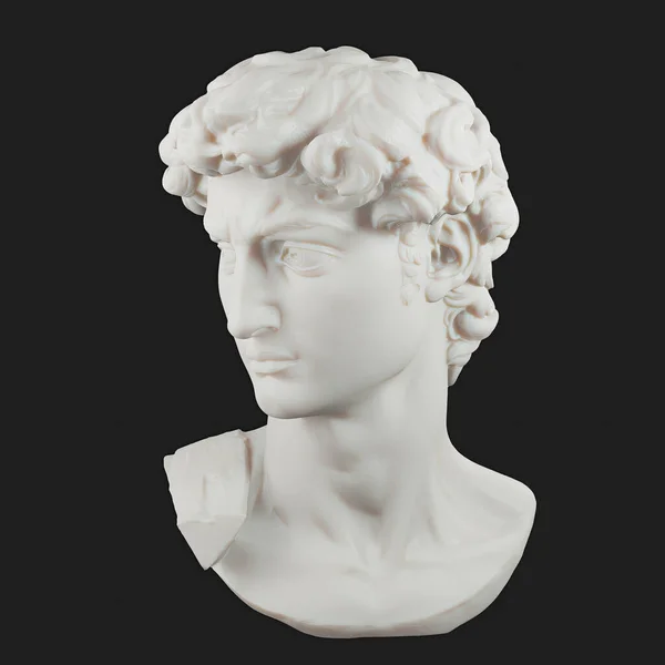 David Busto Sfondo Isolato Statua Michelangelos David Rendering — Foto Stock