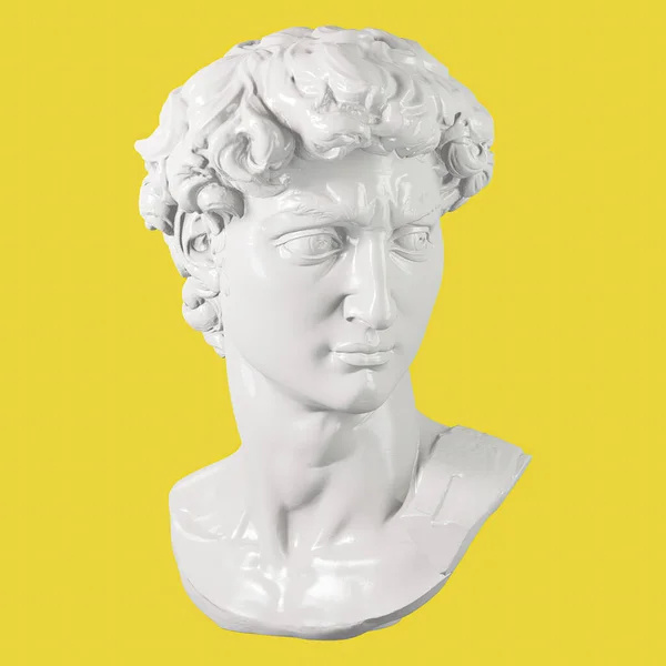 Bianco Brillante David Busto Sfondo Isolato Statua Michelangelos David Rendering — Foto Stock