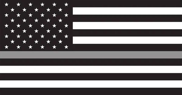 Bandera Estados Unidos Blanco Negro Con Línea Gris Plateada Bandera — Vector de stock