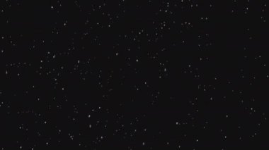 Siyah arka planda kar yağışı. İzole edilmiş arka planda kar yağıyor. Kar yağışı etkisi. Rüzgarsız hava. 4k video