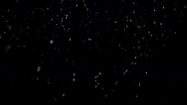 Siyah arka planda kar yağışı. İzole edilmiş arka planda kar yağıyor. Kar yağışı etkisi. Rüzgarsız hava. 4k video