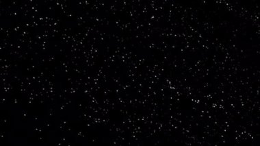 Siyah arka planda kar yağışı. İzole edilmiş arka planda kar yağıyor. Kar yağışı etkisi. Karlı hava, hafif rüzgar. 4k video