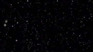 Siyah arka planda kar yağışı. İzole edilmiş arka planda kar yağıyor. Kar yağışı etkisi. Karlı hava, hafif rüzgar. 4k video