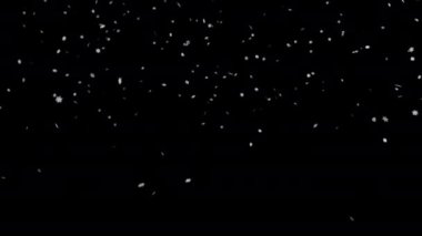 Siyah arka planda kar yağışı. İzole edilmiş arka planda düşen kar taneleri. Kar yağışı etkisi. Karlı hava, hafif rüzgar. 4k video