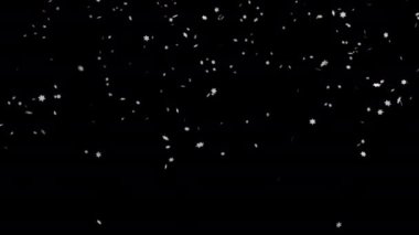 Siyah arka planda kar yağışı. İzole edilmiş arka planda düşen kar taneleri. Kar yağışı etkisi. Karlı hava, hafif rüzgar. 4k video